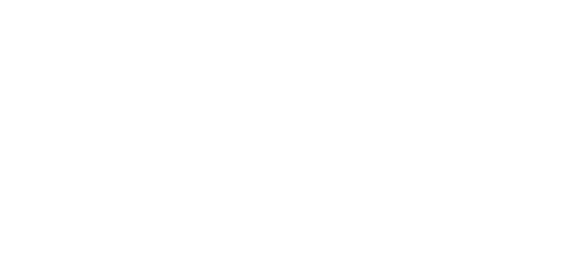 ESS Germany ALL NEG ESS Germany ALL NEG logo